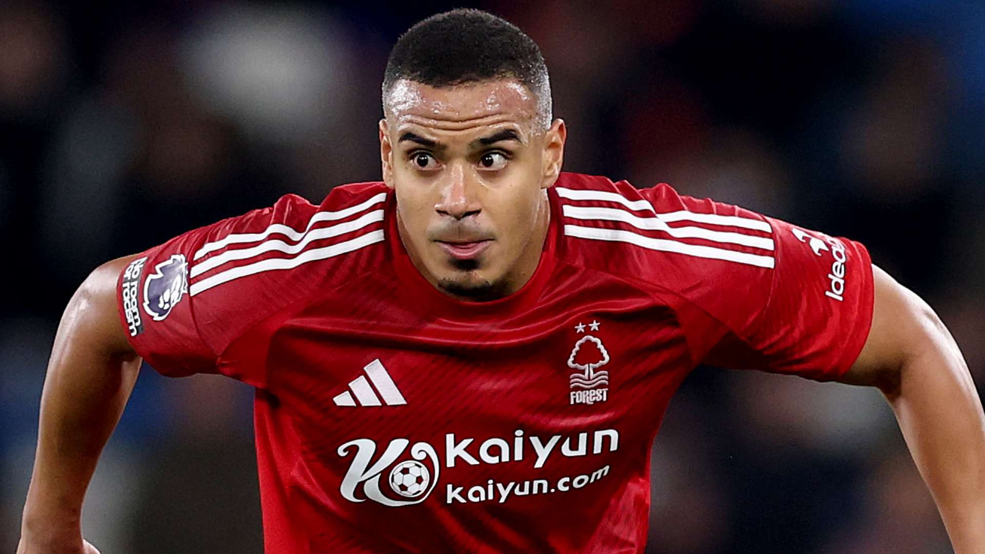 廷年轻球员 廷年轻球员