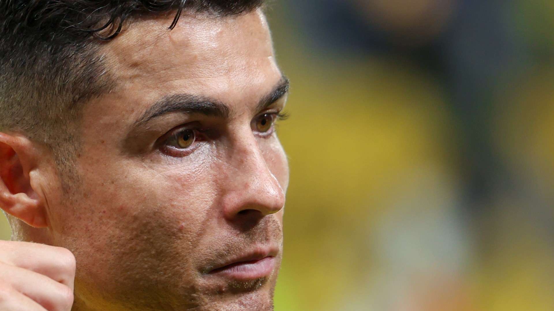 这种经济激 这种经济激